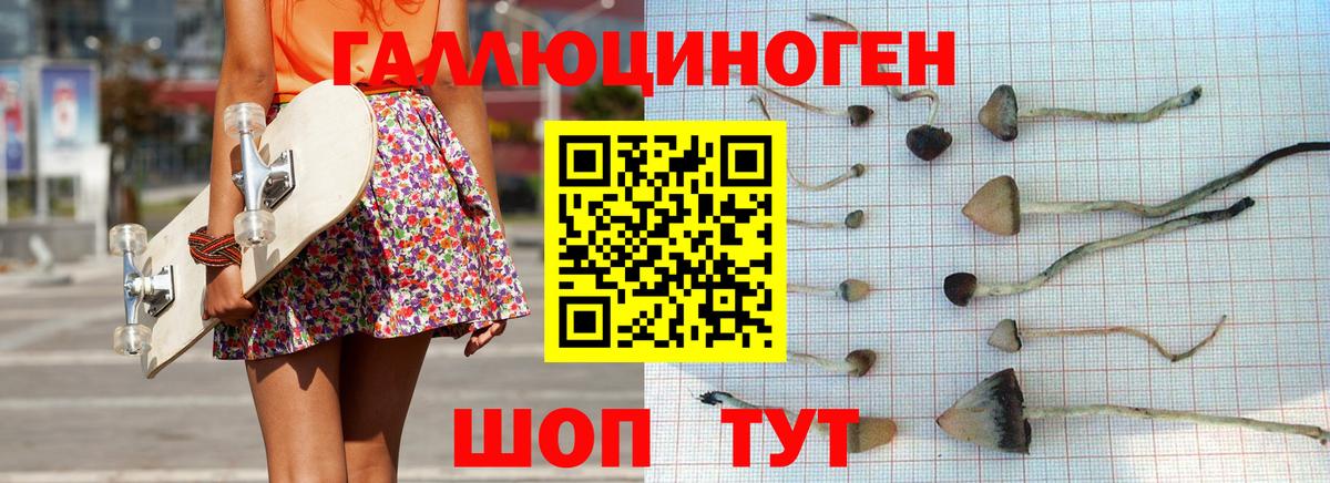 Галлюциногенные грибы MAGIC MUSHROOMS  Вход с VPN  Кимры 