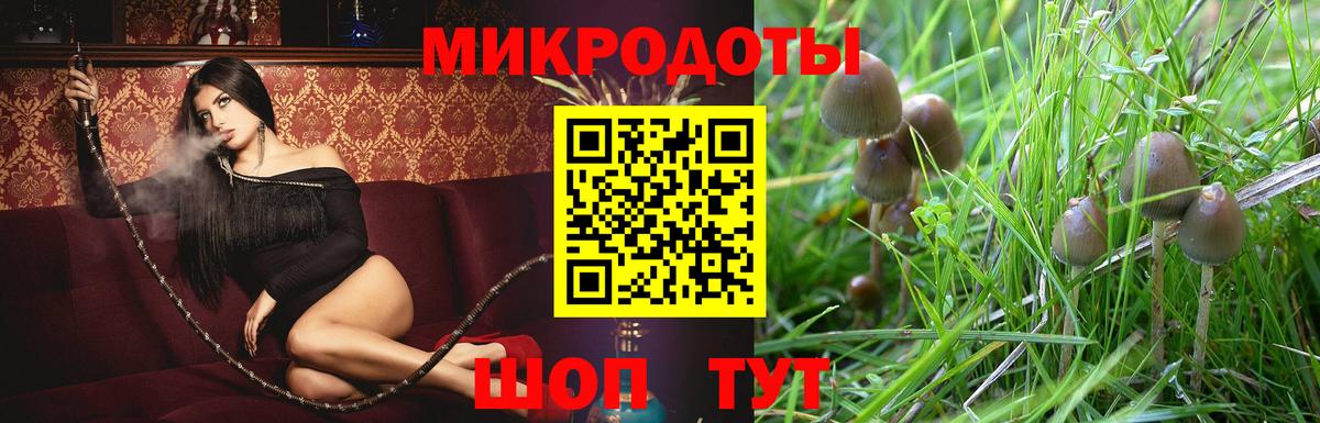 Галлюциногенные грибы GOLDEN TEACHER Кимры